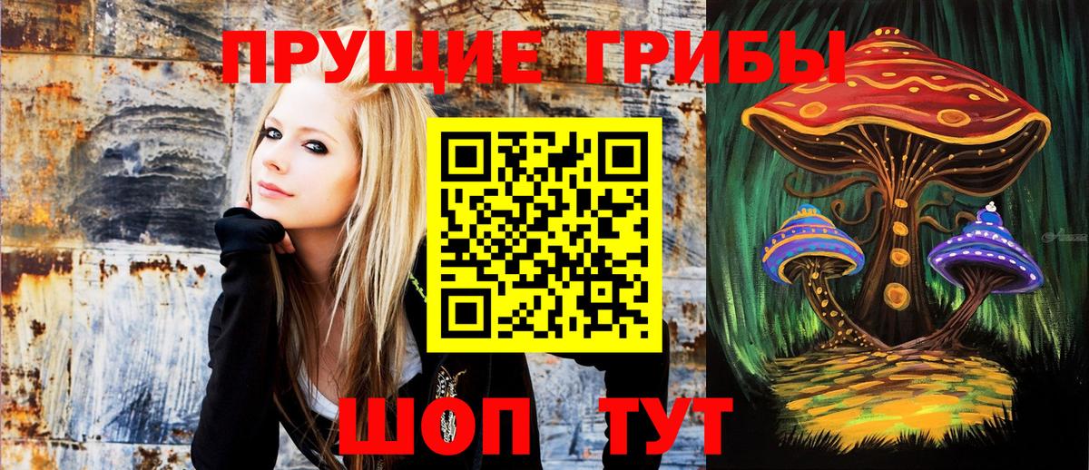 Галлюциногенные грибы Magic Shrooms  Вход с VPN  Псилоцибиновые грибы ЛСД  где можно купить наркотик  Зеленогорск 